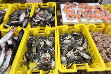 Acre eski şehir içinde çarşı taze balık ve yengeçler satışa sunulmuştur 