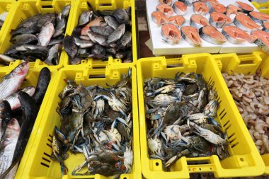 Acre eski şehir içinde çarşı taze balık ve yengeçler satışa sunulmuştur 