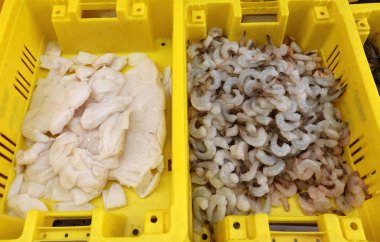 Acre eski şehir içinde çarşı taze balık ve yengeçler satışa sunulmuştur 