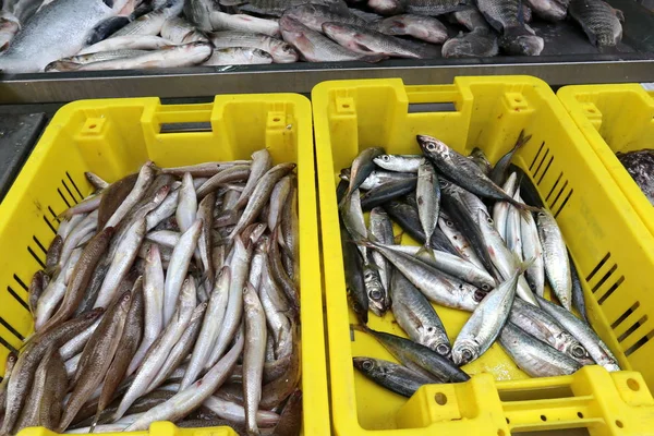 Presso Bazar Nel Centro Storico Acri Pesce Fresco Granchi Sono — Foto Stock