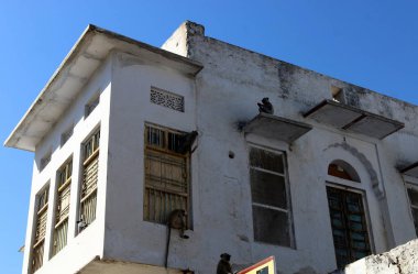 Pencere - ışık içine belgili tanımlık oda ve havalandırma girmek için hizmet inşaat mimari detay 