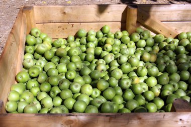 meyve ve sebze dönümlük eski şehir içinde çarşı üzerinde satış 