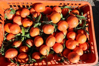 meyve ve sebze dönümlük eski şehir içinde çarşı üzerinde satış 