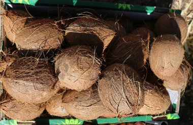 meyve ve sebze dönümlük eski şehir içinde çarşı üzerinde satış 