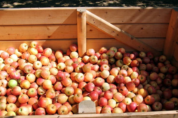 Bazaar Old Town Acre Selling Fruits Vegetable — Stock Photo, Image