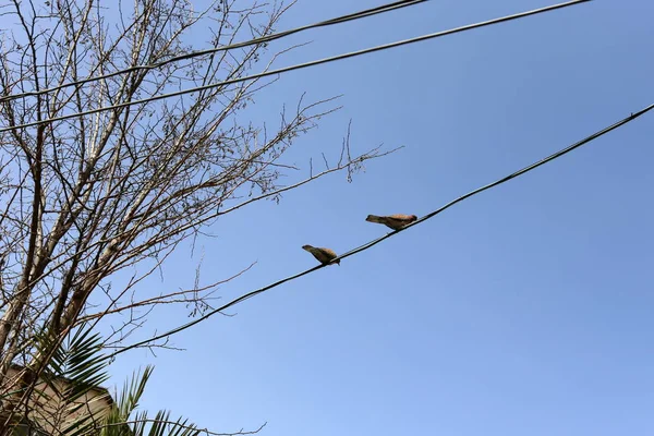 Différentes Formes Géométriques Dans Ville Dans Nature — Photo