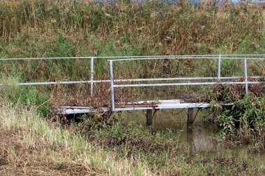 Köprü - bir engel dikilmiş bir yapay yapısı 