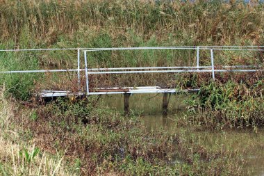 Köprü - bir engel dikilmiş bir yapay yapısı 