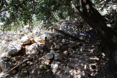 Merdiven adımlar bir dizi oluşur ve aşağı yukarı kaldırmak için hizmet vermektedir 