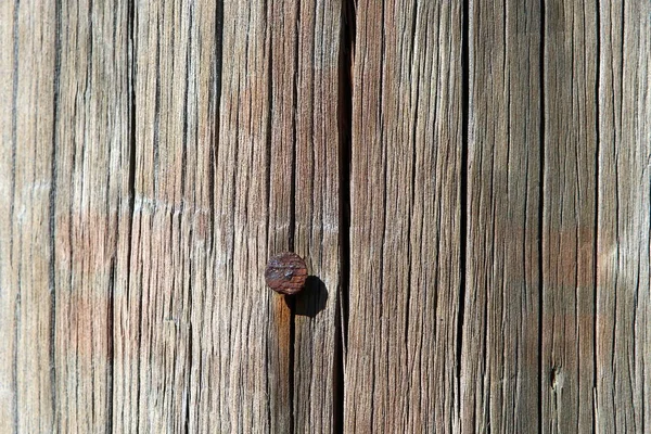 Lot Wood Fibers Form Characteristic Pattern — Stock Photo, Image