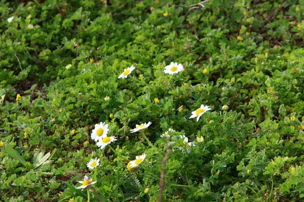 Nature Natural Environment Our Habitat Take Care Nature — Stock Photo, Image