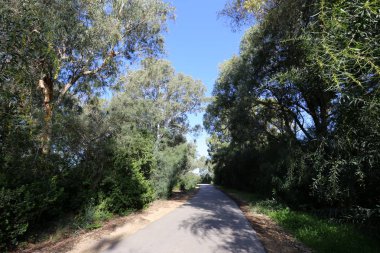 yol - araçlar ve yayalar için bir mühendislik yapısı. 