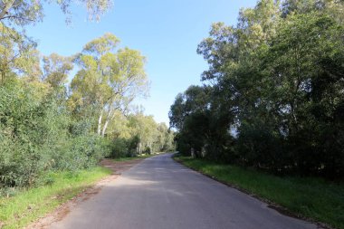 yol - araçlar ve yayalar için bir mühendislik yapısı. 