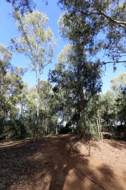 yol - araçlar ve yayalar için bir mühendislik yapısı. 