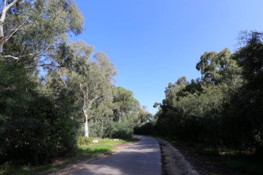 yol - araçlar ve yayalar için bir mühendislik yapısı. 