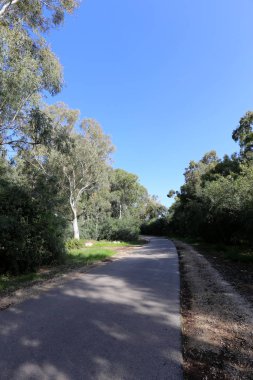 yol - araçlar ve yayalar için bir mühendislik yapısı. 