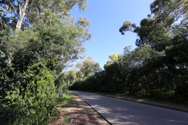 yol - araçlar ve yayalar için bir mühendislik yapısı. 