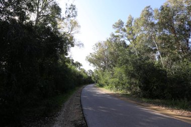 yol - araçlar ve yayalar için bir mühendislik yapısı. 