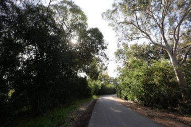 yol - araçlar ve yayalar için bir mühendislik yapısı. 