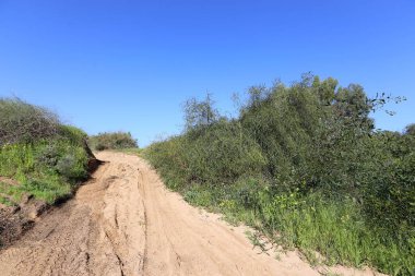 yol - araçlar ve yayalar için bir mühendislik yapısı. 