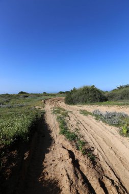 yol - araçlar ve yayalar için bir mühendislik yapısı. 