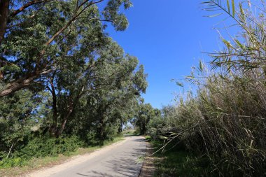 yol - araçlar ve yayalar için bir mühendislik yapısı. 