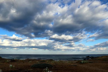 Gökyüzünün rengi ve türünü bağlıdır günün saati, yıl ve ana hava zaman 