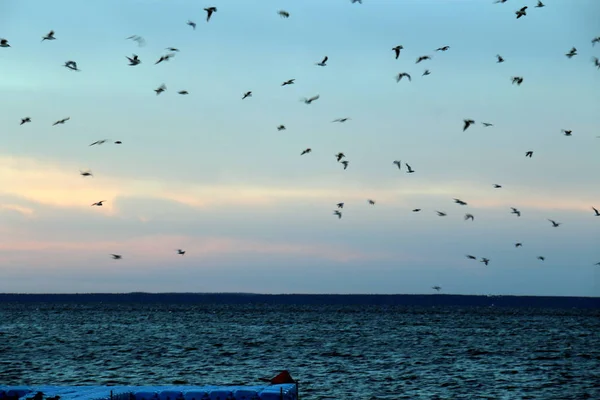 Tipo Color Del Cielo Depende Hora Del Día Época Del — Foto de Stock