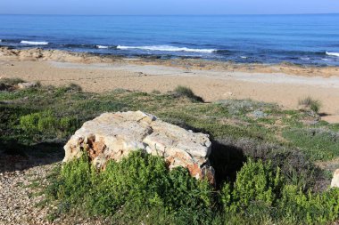 Kuzey İsrail ' Akdeniz'in kıyısında taş yalan 