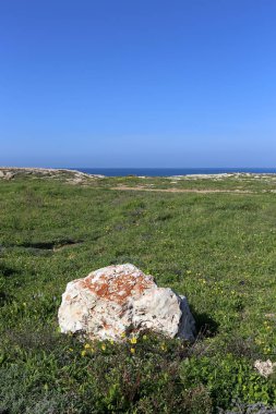 Kuzey İsrail ' Akdeniz'in kıyısında taş yalan 