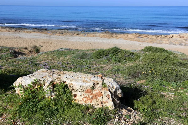 Piedras Encuentran Las Orillas Del Mar Mediterráneo Norte Israel — Foto de Stock