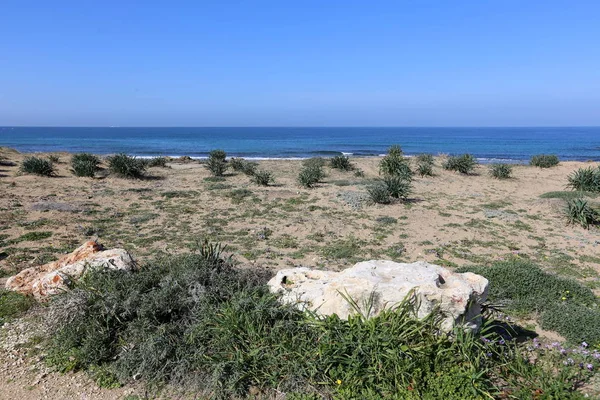 Stenarna Ligga Stranden Medelhavet Norra Israel — Stockfoto