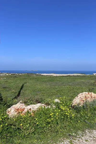 Stones Lie Shores Mediterranean Sea Northern Israel — Stock Photo, Image