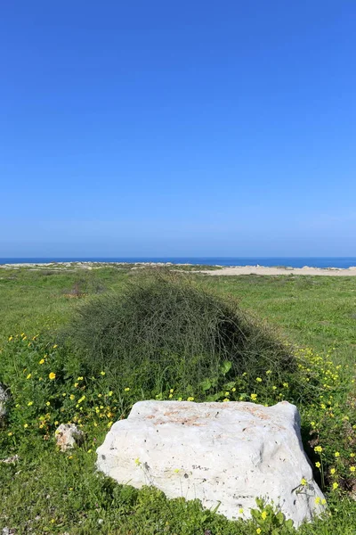 Kuzey İsrail ' Akdeniz'in kıyısında taş yalan 