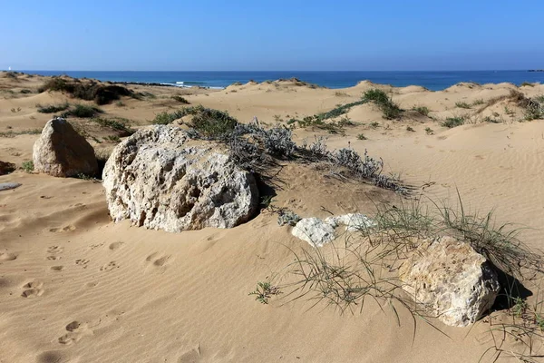 Kuzey İsrail ' Akdeniz'in kıyısında taş yalan 