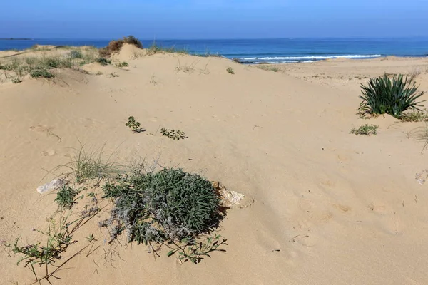Piedras Encuentran Las Orillas Del Mar Mediterráneo Norte Israel —  Fotos de Stock