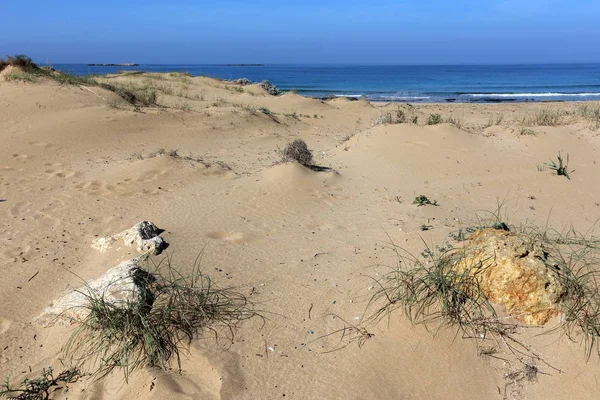 Kuzey İsrail ' Akdeniz'in kıyısında taş yalan 