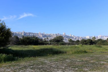 Hayfa - Kuzey İsrail'in Akdeniz kıyısında bir şehir 