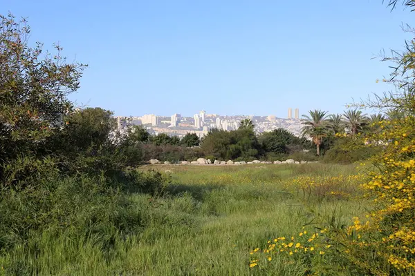 Haifa Una Ciudad Orillas Del Mar Mediterráneo Norte Israel —  Fotos de Stock