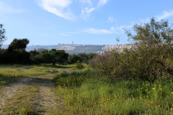 Haifa Una Città Sulle Rive Del Mar Mediterraneo Nel Nord — Foto Stock