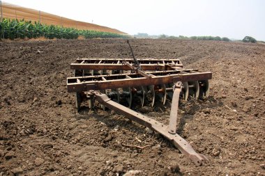 Akdeniz kıyısında büyük bir ekskavatör kazma kum mu 