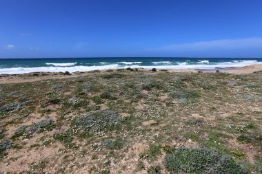 İsrail 'in kuzeyindeki Akdeniz kıyısında. 