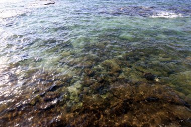 İsrail 'in kuzeyindeki Akdeniz kıyısında. 