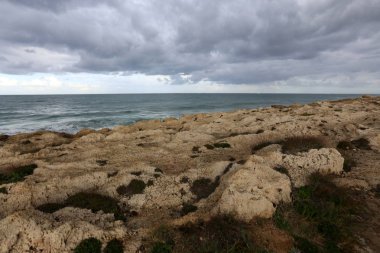 İsrail 'in kuzeyindeki Akdeniz kıyısında. 