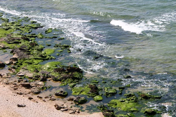 Coast Mediterranean Sea North Israel — Stock Photo, Image