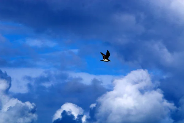 Tipo Cor Céu Dependem Hora Dia Época Ano Clima Principal — Fotografia de Stock