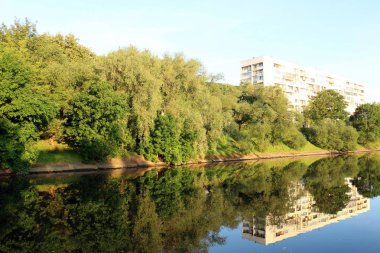 yansıma bitki ve su yapıları 