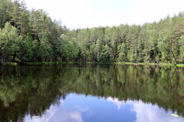 yansıma bitki ve su yapıları 