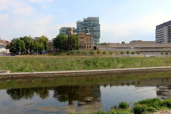 yansıma bitki ve su yapıları 