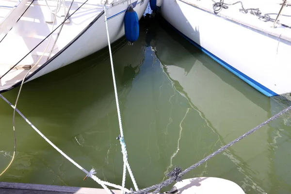 Reflexion Von Pflanzen Und Strukturen Wasser — Stockfoto